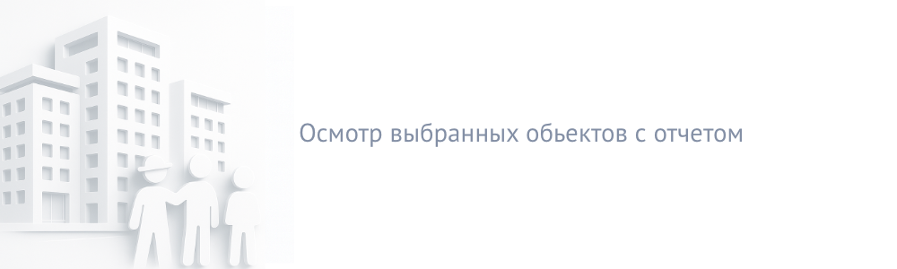 Осмотр выбранных объектов с отчётом